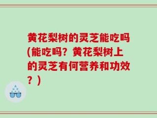 黄花梨树的灵芝能吃吗(能吃吗？黄花梨树上的灵芝有何营养和功效？)