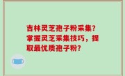 吉林灵芝孢子粉采集？掌握灵芝采集技巧，提取最优质孢子粉？