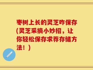 枣树上长的灵芝咋保存(灵芝采摘小妙招，让你轻松保存求荐存储方法！)