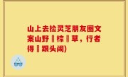 山上去捡灵芝朋友圈文案山野採棕櫚草，行者得驢跟头闹)