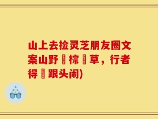 山上去捡灵芝朋友圈文案山野採棕櫚草，行者得驢跟头闹)