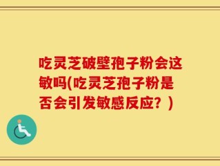 吃灵芝破壁孢子粉会这敏吗(吃灵芝孢子粉是否会引发敏感反应？)