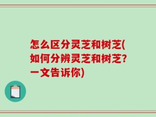怎么区分灵芝和树芝(如何分辨灵芝和树芝？一文告诉你)