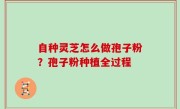 自种灵芝怎么做孢子粉？孢子粉种植全过程