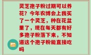 灵芝孢子粉过期可以养花？今年农博会上我买了一个灵芝，种在花盆里了，现在每天都有好多孢子粉落下来，不知道这个孢子粉能直接吃吗