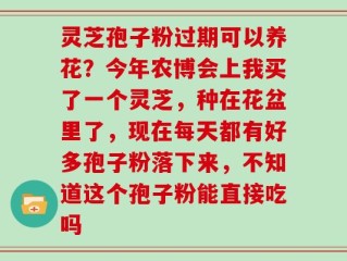 灵芝孢子粉过期可以养花？今年农博会上我买了一个灵芝，种在花盆里了，现在每天都有好多孢子粉落下来，不知道这个孢子粉能直接吃吗