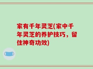 家有千年灵芝(家中千年灵芝的养护技巧，留住神奇功效)