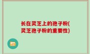 长在灵芝上的孢子粉(灵芝孢子粉的重要性)