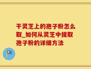干灵芝上的孢子粉怎么取_如何从灵芝中提取孢子粉的详细方法