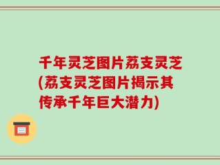 千年灵芝图片荔支灵芝(荔支灵芝图片揭示其传承千年巨大潜力)