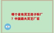 哪个省有灵芝孢子粉厂？中国最大灵芝厂家