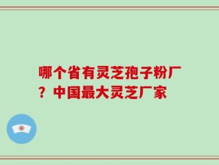 哪个省有灵芝孢子粉厂？中国最大灵芝厂家