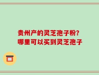 贵州产的灵芝孢子粉？哪里可以买到灵芝孢子