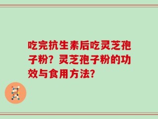 吃完抗生素后吃灵芝孢子粉？灵芝孢子粉的功效与食用方法？