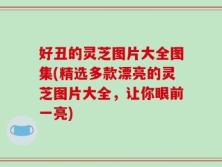 好丑的灵芝图片大全图集(精选多款漂亮的灵芝图片大全，让你眼前一亮)