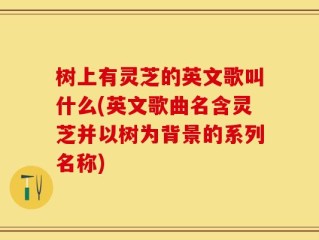 树上有灵芝的英文歌叫什么(英文歌曲名含灵芝并以树为背景的系列名称)