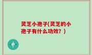 灵芝小孢子(灵芝的小孢子有什么功效？)