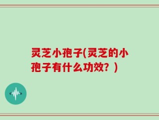 灵芝小孢子(灵芝的小孢子有什么功效？)