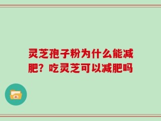 灵芝孢子粉为什么能减肥？吃灵芝可以减肥吗