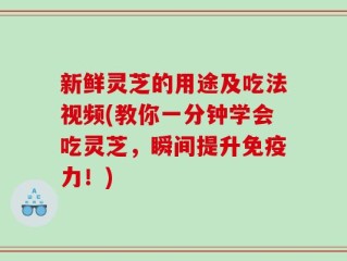 新鲜灵芝的用途及吃法视频(教你一分钟学会吃灵芝，瞬间提升免疫力！)