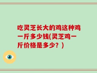 吃灵芝长大的鸡这种鸡一斤多少钱(灵芝鸡一斤价格是多少？)