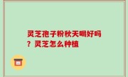 灵芝孢子粉秋天喝好吗？灵芝怎么种植