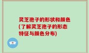 灵芝孢子的形状和颜色(了解灵芝孢子的形态特征与颜色分布)