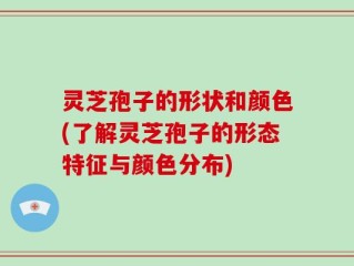 灵芝孢子的形状和颜色(了解灵芝孢子的形态特征与颜色分布)