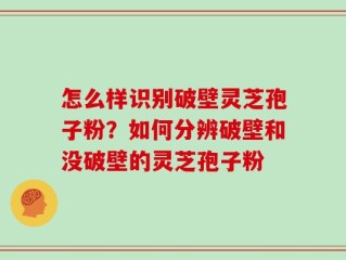 怎么样识别破壁灵芝孢子粉？如何分辨破壁和没破壁的灵芝孢子粉