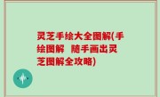 灵芝手绘大全图解(手绘图解  随手画出灵芝图解全攻略)