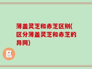 薄盖灵芝和赤芝区别(区分薄盖灵芝和赤芝的异同)