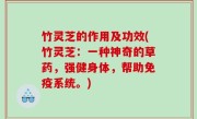 竹灵芝的作用及功效(竹灵芝：一种神奇的草药，强健身体，帮助免疫系统。)