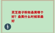 灵芝孢子粉和桑黄哪个好？桑黄什么时候采最好