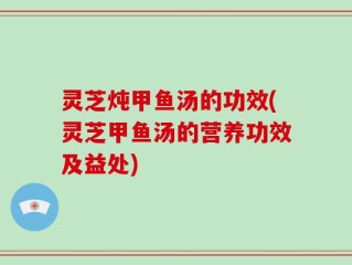 灵芝炖甲鱼汤的功效(灵芝甲鱼汤的营养功效及益处)