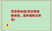 灵芝草米线(灵芝草现做米线，营养美味又养生)