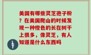 美国有哪些灵芝孢子粉？在美国爬山的时候发现一种橙色的长在树干上很多，像灵芝，有人知道是什么东西吗