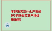 半野生灵芝什么产地的好(半野生灵芝产地优质推荐)