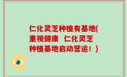 仁化灵芝种植有基地(重视健康  仁化灵芝种植基地启动营运！)
