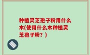 种植灵芝孢子粉用什么木(使用什么木种植灵芝孢子粉？)