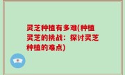 灵芝种植有多难(种植灵芝的挑战：探讨灵芝种植的难点)
