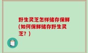 野生灵芝怎样储存保鲜(如何保鲜储存野生灵芝？)