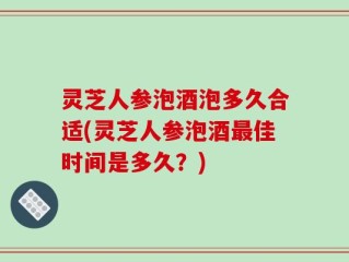 灵芝人参泡酒泡多久合适(灵芝人参泡酒最佳时间是多久？)