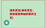 津市灵芝(津市灵芝：带你探索神秘的草药之王)