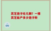 灵芝孢子吃几颗？一棵灵芝能产多少孢子粉