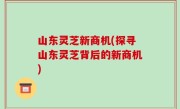 山东灵芝新商机(探寻山东灵芝背后的新商机)