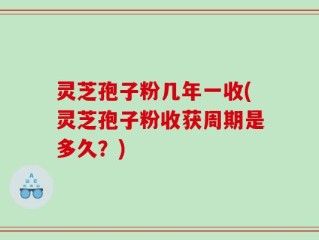 灵芝孢子粉几年一收(灵芝孢子粉收获周期是多久？)