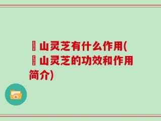 矷山灵芝有什么作用(矷山灵芝的功效和作用简介)
