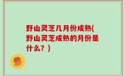 野山灵芝几月份成熟(野山灵芝成熟的月份是什么？)