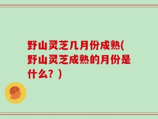 野山灵芝几月份成熟(野山灵芝成熟的月份是什么？)