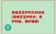 葛根灵芝护肝片的功效(葛根灵芝护肝片：养护肝脏，保护健康)
